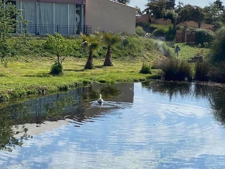 Complejo Rural El Prado Hotell Logrosán Exteriör bild